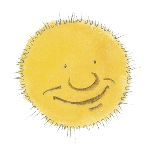 10.1sun.png